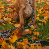 Rope Lead with Carabiner Clip & Padded Handle Collars, Leads & Harnesses Pet Wiz