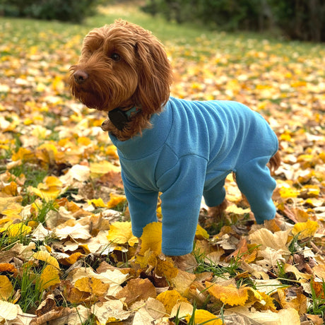 Four Legged Dog Fleece Jumpers Pet Wiz XS Teal 