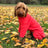 Four Legged Dog Fleece Jumpers Pet Wiz XS Coral 