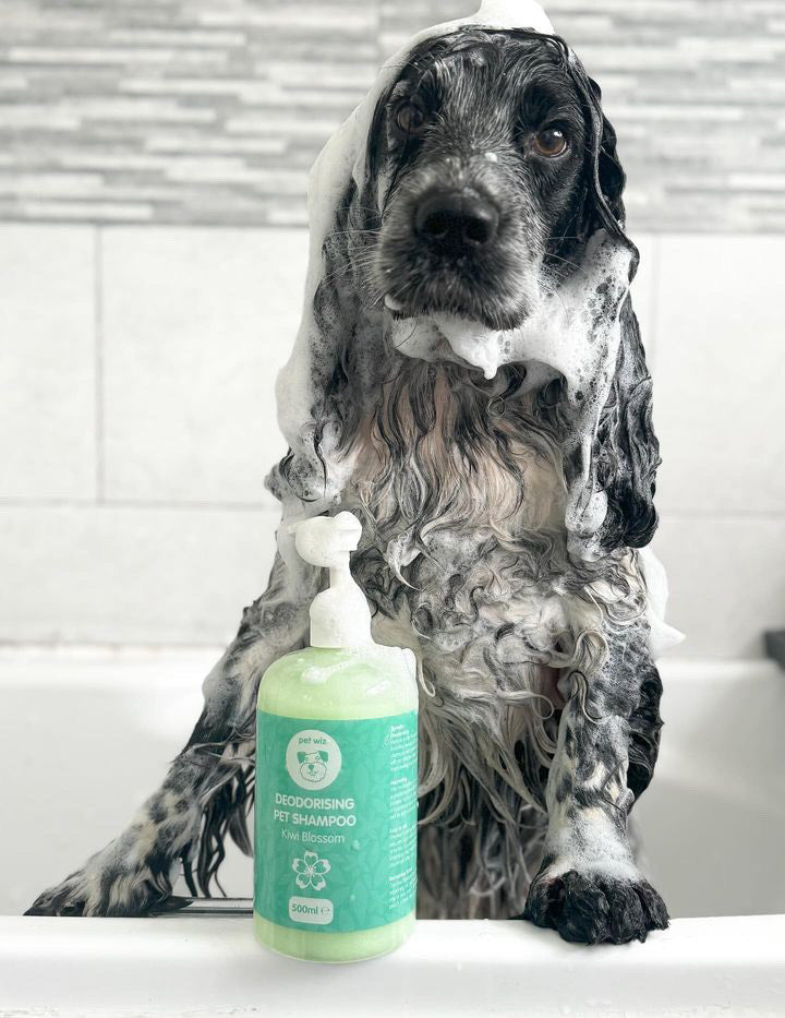 Super Deodorising Pet Shampoo with Kiwi Blossom Pet Wiz