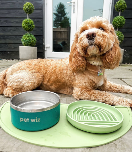 Silicone Feeding Mat Feeding Pet Wiz