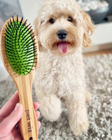 Double Sided Pin & Bristle Bamboo Brush for Dog Grooming Brush Pet Wiz   