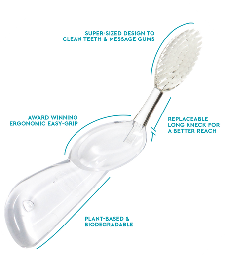The Big Brush™ with Replaceable Head - Right Hand Toothbrush RADIUS Transparent  