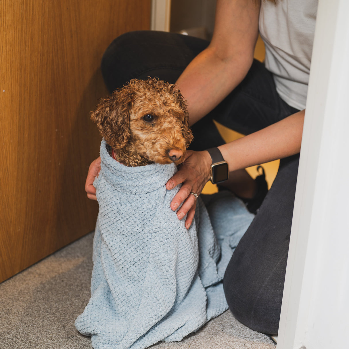 Premium Microfibre Dog Drying Bag | Super Absorbent & Fast Drying Bathrobe Towel Dog Apparel Pet Wiz   