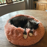 Soft Calming Donut Bed - Premium Quality For Dogs & Cats Pet Bed Pet Wiz   