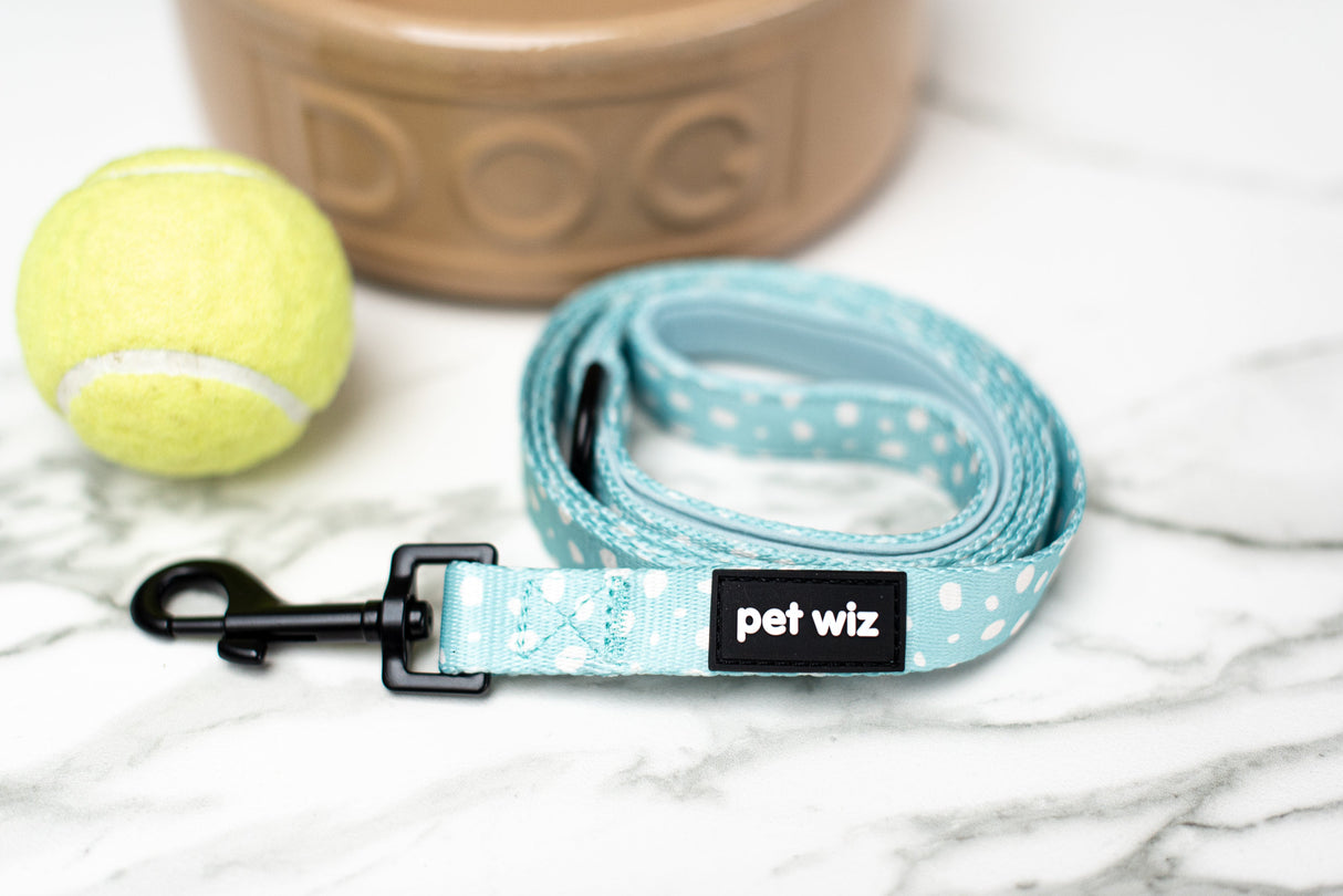 Dotty About You - Lead  Pet Wiz   