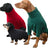 Dog Fleece / Jumper  HOTTERdog Red Small 